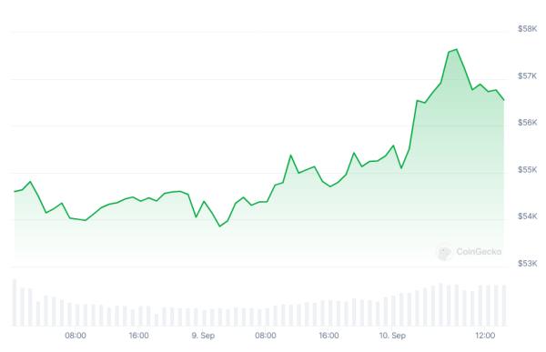 Биткоин-ETF наблюдают приток $28,6 млн после восьми дней оттока